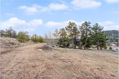 215 Murdock Dr, Red Feather Lakes, CO 80545 - Photo 11