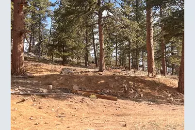 215 Murdock Dr, Red Feather Lakes, CO 80545 - Photo 47