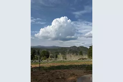 215 Murdock Dr, Red Feather Lakes, CO 80545 - Photo 31