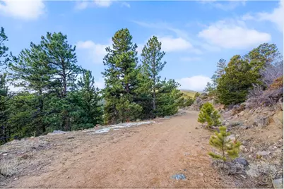 215 Murdock Dr, Red Feather Lakes, CO 80545 - Photo 11