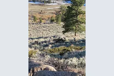 215 Murdock Dr, Red Feather Lakes, CO 80545 - Photo 25