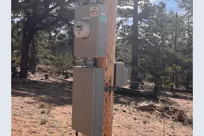 215 Murdock Dr, Red Feather Lakes, CO 80545 - Photo 39