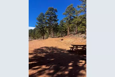 215 Murdock Dr, Red Feather Lakes, CO 80545 - Photo 35