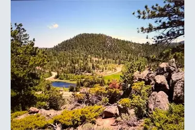 215 Murdock Dr, Red Feather Lakes, CO 80545 - Photo 1