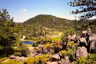 215 Murdock Dr, Red Feather Lakes, CO 80545 - Photo 1