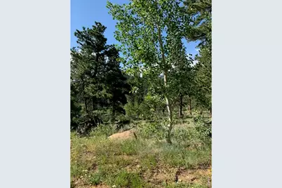 215 Murdock Dr, Red Feather Lakes, CO 80545 - Photo 33