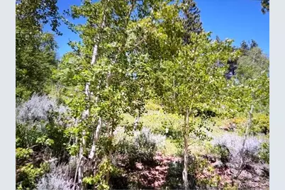 215 Murdock Dr, Red Feather Lakes, CO 80545 - Photo 3