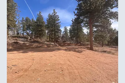 215 Murdock Dr, Red Feather Lakes, CO 80545 - Photo 45