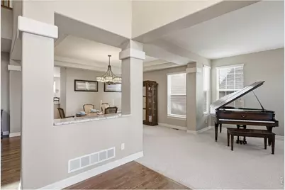 10123 Mockingbird Ln, Highlands Ranch, CO 80129 - Photo 9