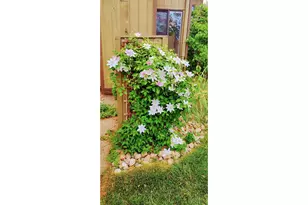 1907 Waters Edge St, Fort Collins, CO 80526 - Photo 37