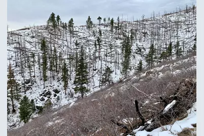 498 Helms Deep Rd, Bellvue, CO 80512 - Photo 11