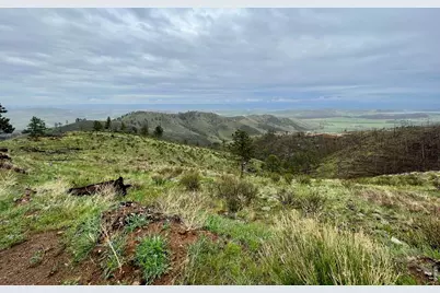 498 Helms Deep Rd, Bellvue, CO 80512 - Photo 25