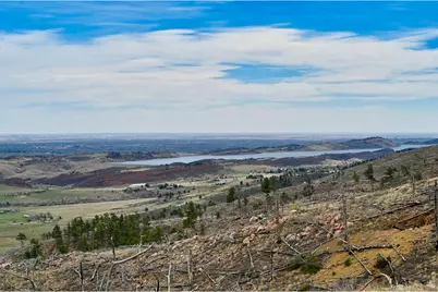 498 Helms Deep Rd, Bellvue, CO 80512 - Photo 1
