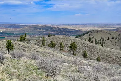 498 Helms Deep Rd, Bellvue, CO 80512 - Photo 7
