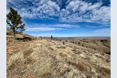 498 Helms Deep Rd, Bellvue, CO 80512 - Photo 31