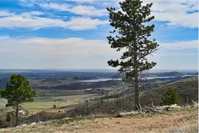 498 Helms Deep Rd, Bellvue, CO 80512 - Photo 5