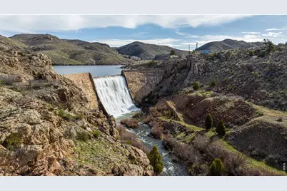 307 Brewster Ln, Livermore, CO 80536 - Photo 5