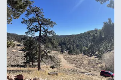 1018 Beartrap Rd, Red Feather Lakes, CO 80545 - Photo 13