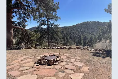 1018 Beartrap Rd, Red Feather Lakes, CO 80545 - Photo 1