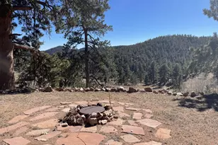 1018 Beartrap Rd, Red Feather Lakes, CO 80545 - Photo 1