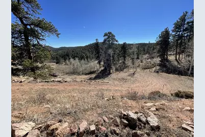 1018 Beartrap Rd, Red Feather Lakes, CO 80545 - Photo 23