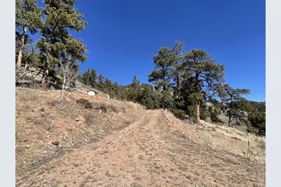 1018 Beartrap Rd, Red Feather Lakes, CO 80545 - Photo 7