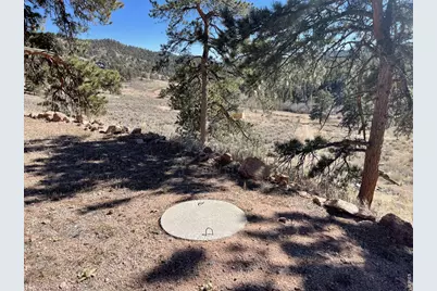 1018 Beartrap Rd, Red Feather Lakes, CO 80545 - Photo 9