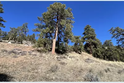1018 Beartrap Rd, Red Feather Lakes, CO 80545 - Photo 25