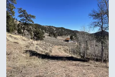 1018 Beartrap Rd, Red Feather Lakes, CO 80545 - Photo 23