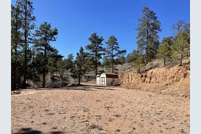 1018 Beartrap Rd, Red Feather Lakes, CO 80545 - Photo 1