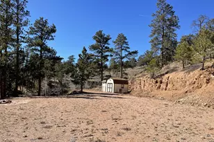 1018 Beartrap Rd, Red Feather Lakes, CO 80545 - Photo 1