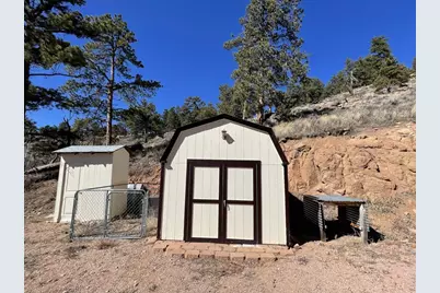 1018 Beartrap Rd, Red Feather Lakes, CO 80545 - Photo 9