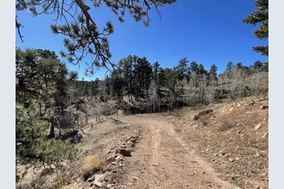 1018 Beartrap Rd, Red Feather Lakes, CO 80545 - Photo 17
