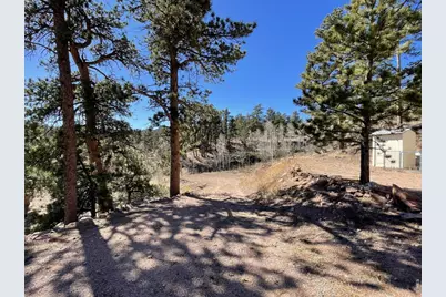 1018 Beartrap Rd, Red Feather Lakes, CO 80545 - Photo 21