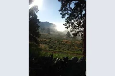 1018 Beartrap Rd, Red Feather Lakes, CO 80545 - Photo 19