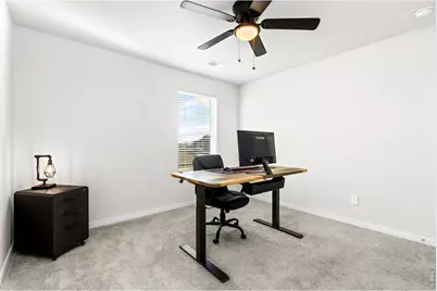 3657 Speedwell St, Wellington, CO 80549 - Photo 31