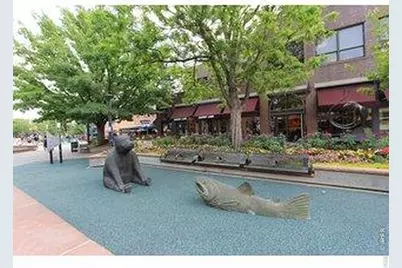 809 E Myrtle St, Fort Collins, CO 80524 - Photo 13