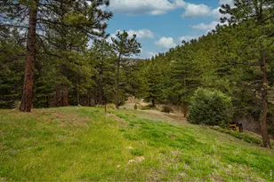 310 Wendelyn Way, Boulder, CO 80302 - Photo 37
