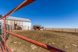 16524 Co Rd 3, Wiggins, CO 80654 - Photo 29