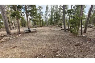 1421 Jicarilla Trail, Red Feather Lakes, CO 80545 - Photo 1