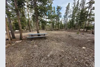 1421 Jicarilla Trl, Red Feather Lakes, CO 80545 - Photo 3
