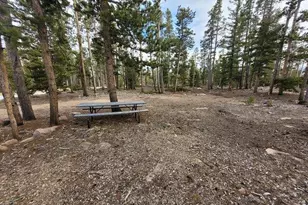 1421 Jicarilla Trail, Red Feather Lakes, CO 80545 - Photo 3