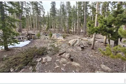 1421 Jicarilla Trl, Red Feather Lakes, CO 80545 - Photo 9