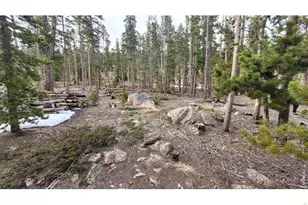 1421 Jicarilla Trail, Red Feather Lakes, CO 80545 - Photo 9