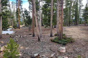 1421 Jicarilla Trail, Red Feather Lakes, CO 80545 - Photo 13