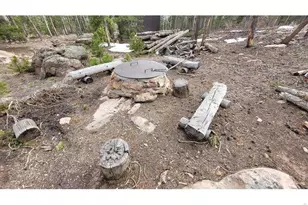 1421 Jicarilla Trail, Red Feather Lakes, CO 80545 - Photo 11