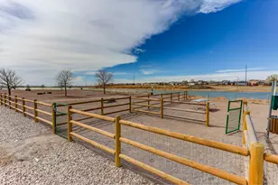 826 Elias Tarn Dr, Severance, CO 80550 - Photo 35