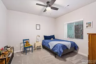 336 Blue Star Dr, Windsor, CO 80550 - Photo 25