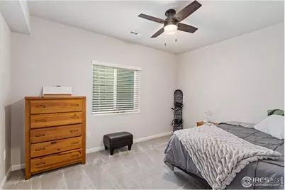 336 Bluestar Dr, Windsor, CO 80550 - Photo 23