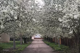 3421 4th St, Boulder, CO 80304 - Photo 29